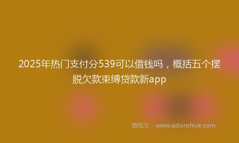 2025年热门支付分539可以借钱吗，概括五个摆脱欠款束缚贷款新app