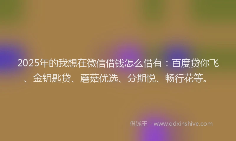 2025年的我想在微信借钱怎么借有：百度贷你飞、金钥匙贷、蘑菇优选、分期悦、畅行花等。