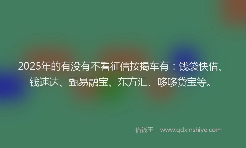 2025年的有没有不看征信按揭车有：钱袋快借、钱速达、甄易融宝、东方汇、哆哆贷宝等。