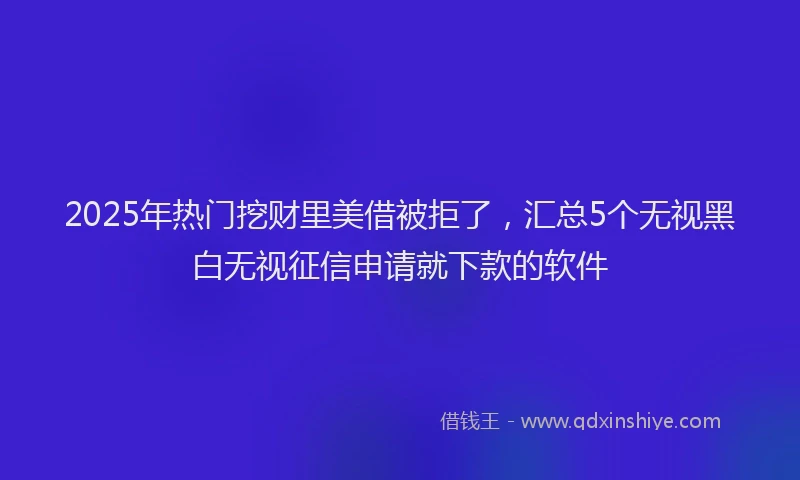 2025年热门挖财里美借被拒了，汇总5个无视黑白无视征信申请就下款的软件