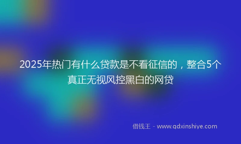 2025年热门有什么贷款是不看征信的，整合5个真正无视风控黑白的网贷