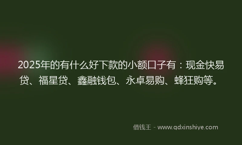 2025年的有什么好下款的小额口子有：现金快易贷、福星贷、鑫融钱包、永卓易购、蜂狂购等。