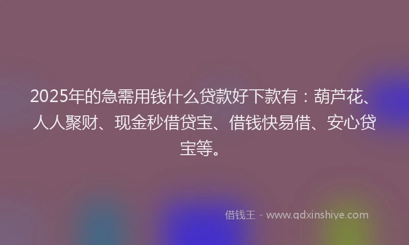 2025年的急需用钱什么贷款好下款有：葫芦花、人人聚财、现金秒借贷宝、借钱快易借、安心贷宝等。