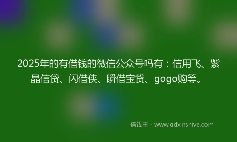 2025年的有借钱的微信公众号吗有：信用飞、紫晶信贷、闪借侠、瞬借宝贷、gogo购等。