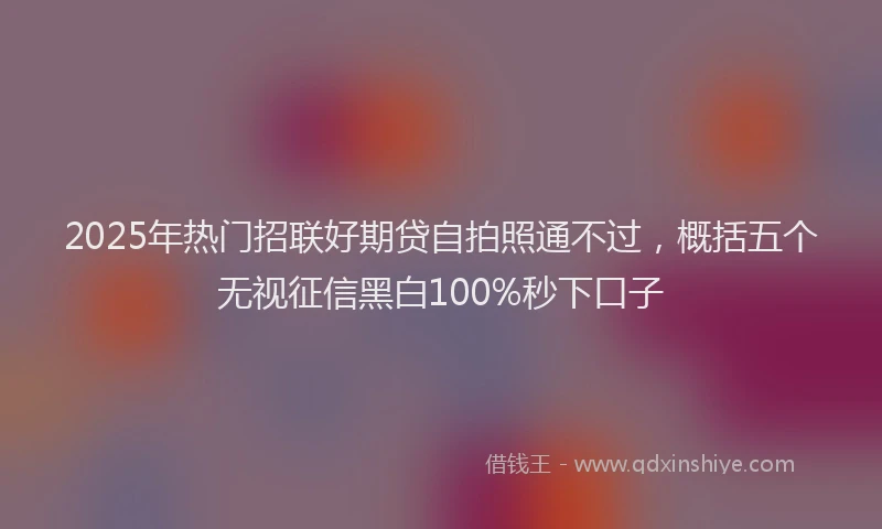 2025年热门招联好期贷自拍照通不过，概括五个无视征信黑白100%秒下口子