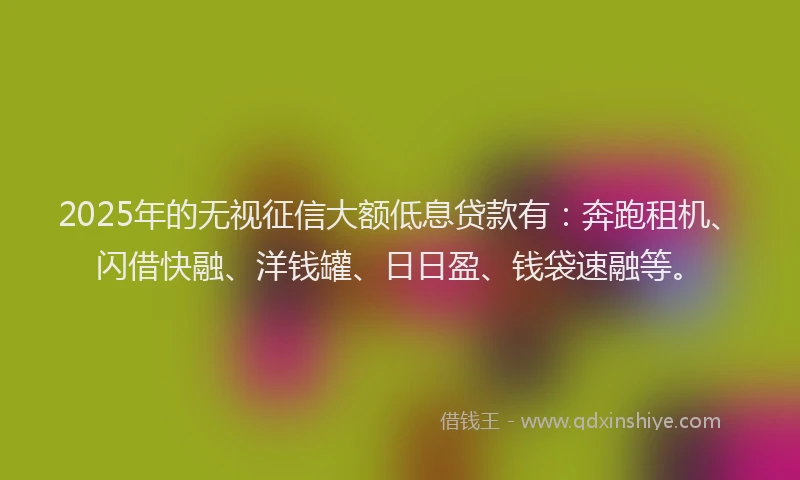 2025年的无视征信大额低息贷款有：奔跑租机、闪借快融、洋钱罐、日日盈、钱袋速融等。