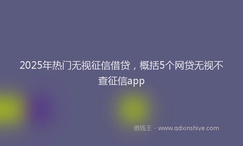 2025年热门无视征信借贷，概括5个网贷无视不查征信app