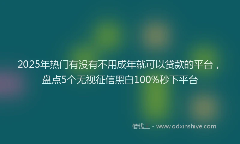 2025年热门有没有不用成年就可以贷款的平台，盘点5个无视征信黑白100%秒下平台