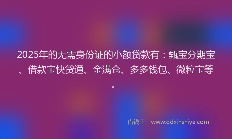 2025年的无需身份证的小额贷款有：甄宝分期宝、借款宝快贷通、金满仓、多多钱包、微粒宝等。