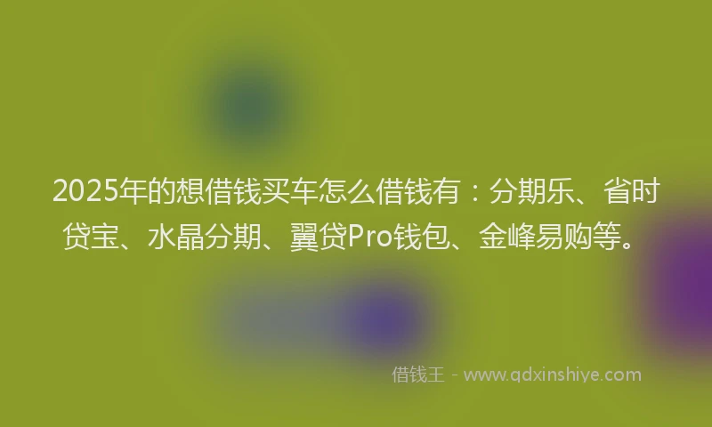 2025年的想借钱买车怎么借钱有：分期乐、省时贷宝、水晶分期、翼贷Pro钱包、金峰易购等。
