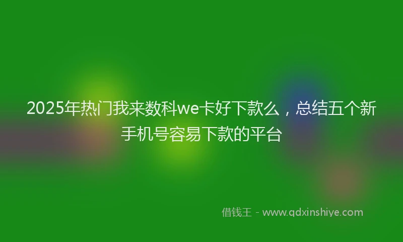 2025年热门我来数科we卡好下款么，总结五个新手机号容易下款的平台