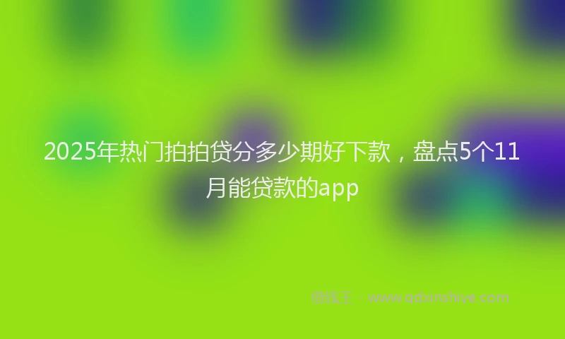 2025年热门拍拍贷分多少期好下款，盘点5个11月能贷款的app