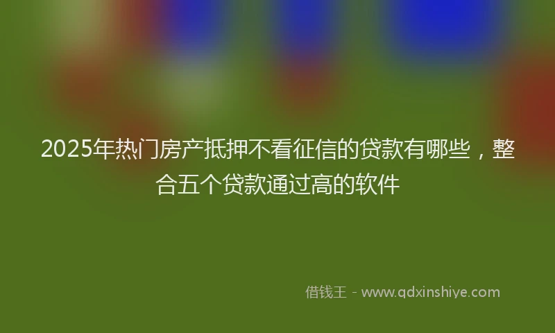 2025年热门房产抵押不看征信的贷款有哪些，整合五个贷款通过高的软件