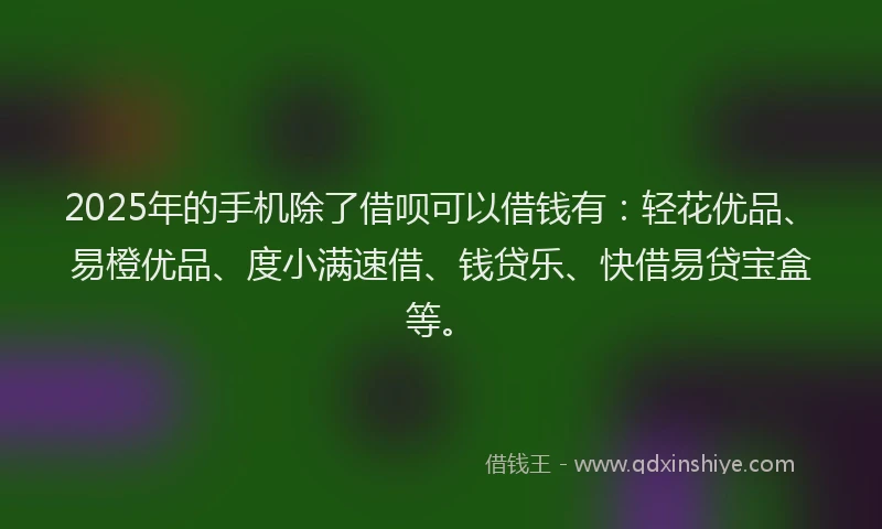2025年的手机除了借呗可以借钱有：轻花优品、易橙优品、度小满速借、钱贷乐、快借易贷宝盒等。