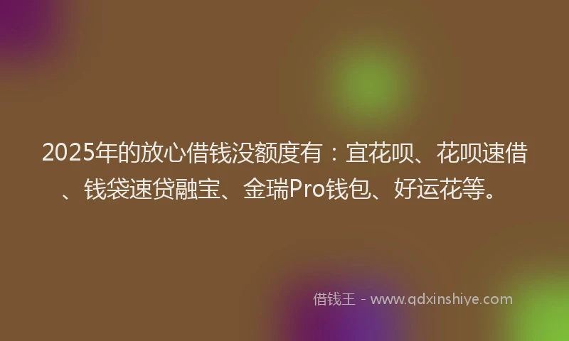 2025年的放心借钱没额度有：宜花呗、花呗速借、钱袋速贷融宝、金瑞Pro钱包、好运花等。