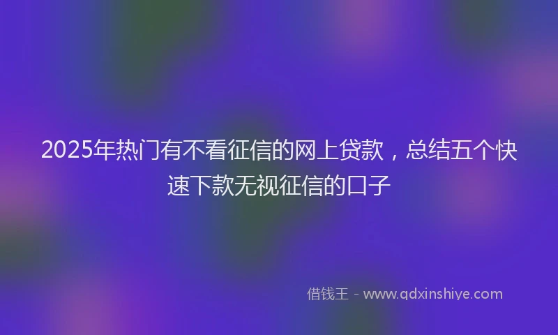 2025年热门有不看征信的网上贷款，总结五个快速下款无视征信的口子