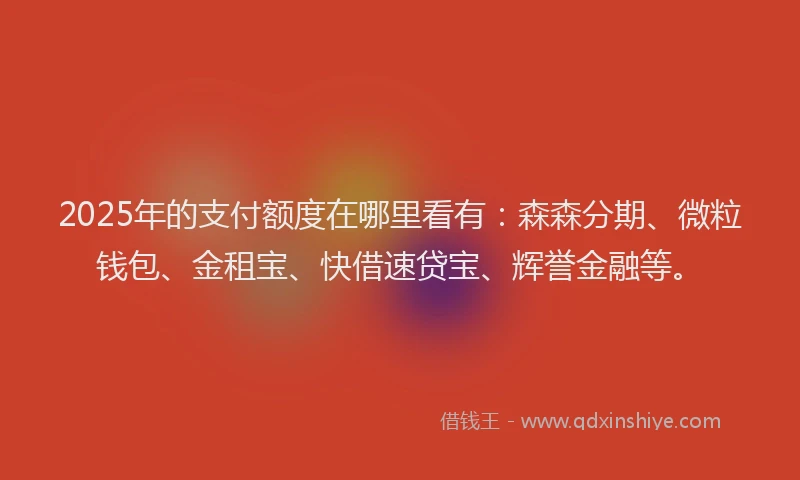2025年的支付额度在哪里看有：森森分期、微粒钱包、金租宝、快借速贷宝、辉誉金融等。