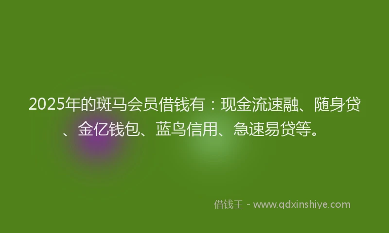 2025年的斑马会员借钱有：现金流速融、随身贷、金亿钱包、蓝鸟信用、急速易贷等。