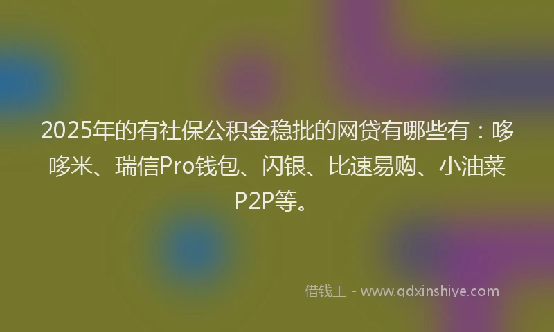 2025年的有社保公积金稳批的网贷有哪些有：哆哆米、瑞信Pro钱包、闪银、比速易购、小油菜P2P等。