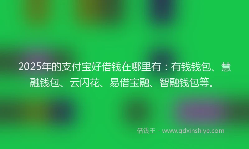 2025年的支付宝好借钱在哪里有：有钱钱包、慧融钱包、云闪花、易借宝融、智融钱包等。