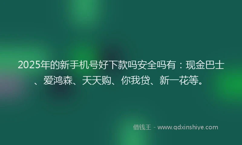 2025年的新手机号好下款吗安全吗有：现金巴士、爱鸿森、天天购、你我贷、新一花等。