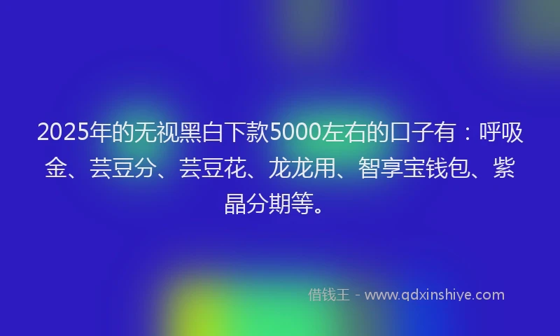 2025年的无视黑白下款5000左右的口子有：呼吸金、芸豆分、芸豆花、龙龙用、智享宝钱包、紫晶分期等。