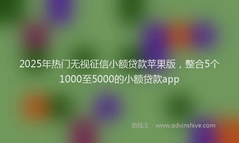 2025年热门无视征信小额贷款苹果版，整合5个1000至5000的小额贷款app