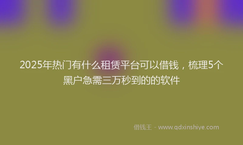 2025年热门有什么租赁平台可以借钱，梳理5个黑户急需三万秒到的的软件