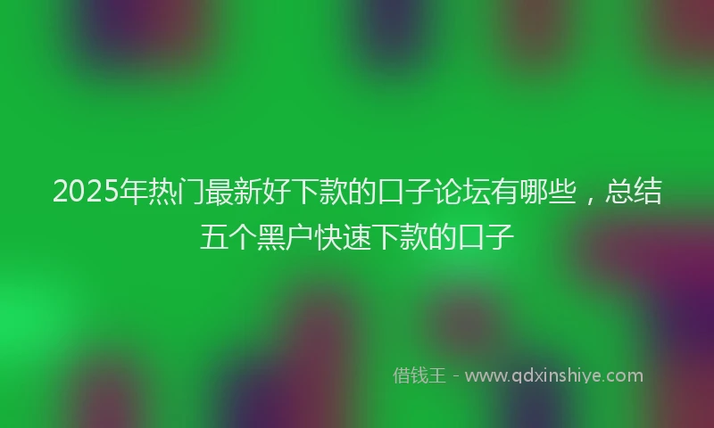 2025年热门最新好下款的口子论坛有哪些，总结五个黑户快速下款的口子