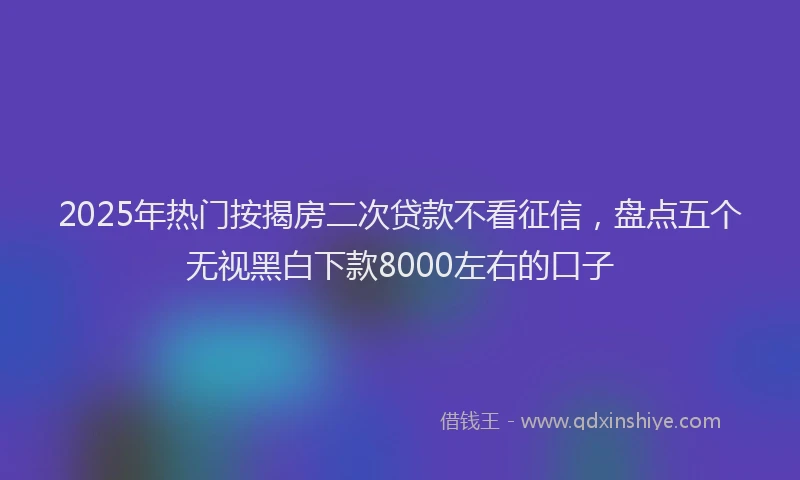 2025年热门按揭房二次贷款不看征信，盘点五个无视黑白下款8000左右的口子