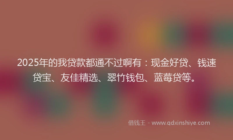 2025年的我贷款都通不过啊有：现金好贷、钱速贷宝、友佳精选、翠竹钱包、蓝莓贷等。