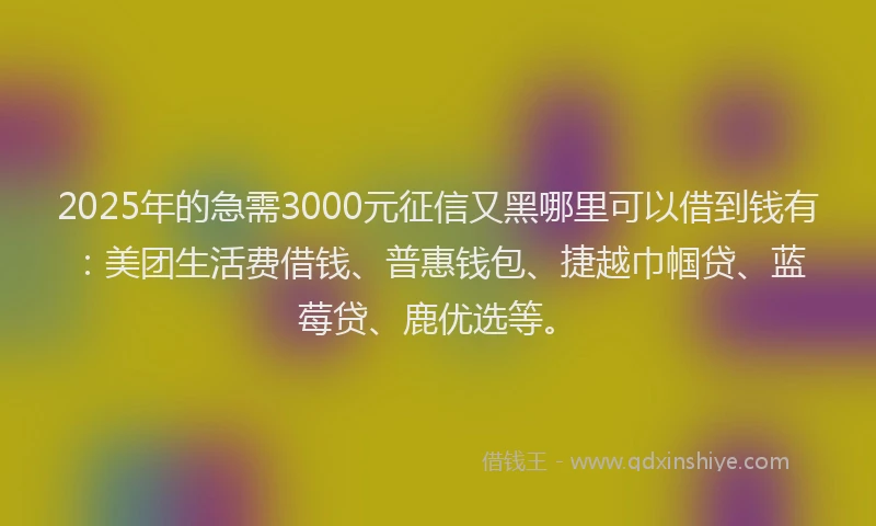 2025年的急需3000元征信又黑哪里可以借到钱有：美团生活费借钱、普惠钱包、捷越巾帼贷、蓝莓贷、鹿优选等。
