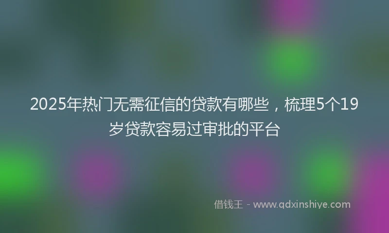 2025年热门无需征信的贷款有哪些，梳理5个19岁贷款容易过审批的平台