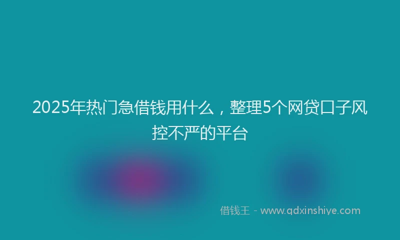 2025年热门急借钱用什么，整理5个网贷口子风控不严的平台