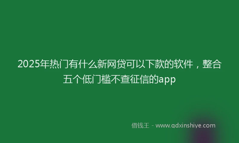 2025年热门有什么新网贷可以下款的软件，整合五个低门槛不查征信的app