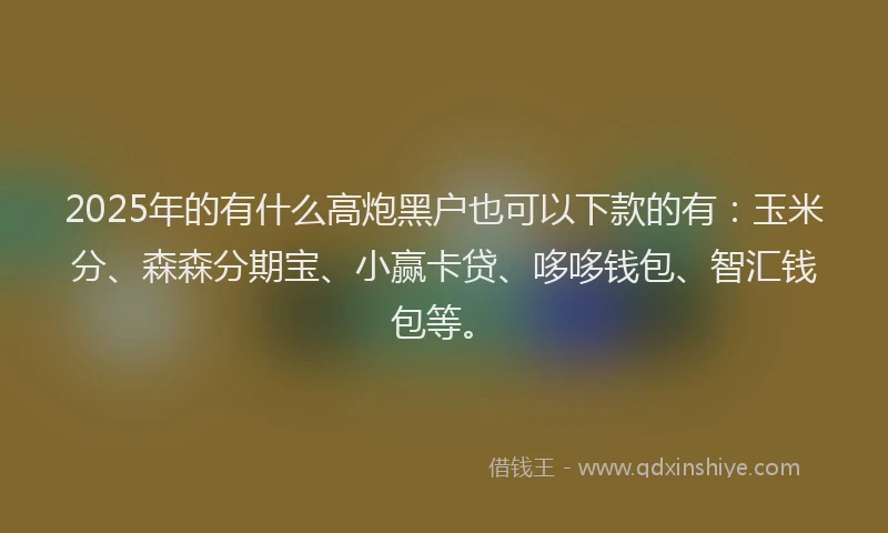 2025年的有什么高炮黑户也可以下款的有：玉米分、森森分期宝、小赢卡贷、哆哆钱包、智汇钱包等。