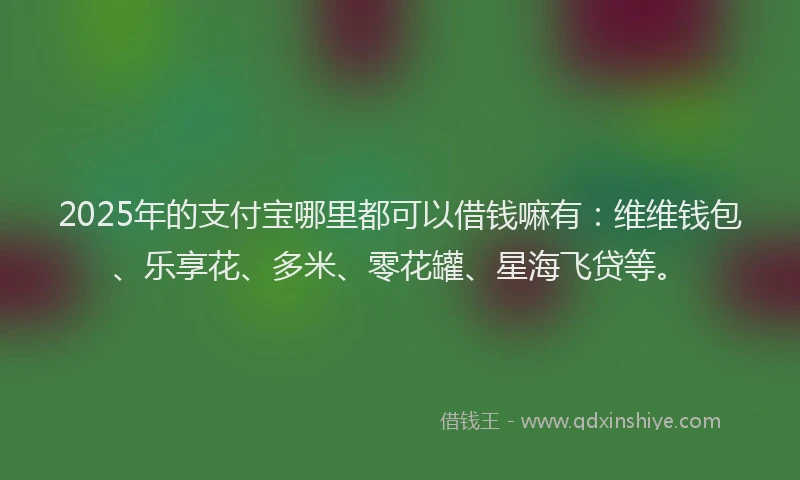 2025年的支付宝哪里都可以借钱嘛有：维维钱包、乐享花、多米、零花罐、星海飞贷等。