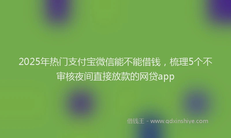 2025年热门支付宝微信能不能借钱，梳理5个不审核夜间直接放款的网贷app
