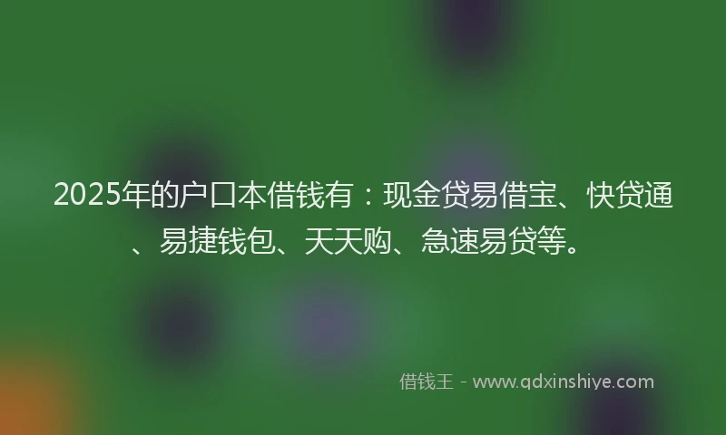 2025年的户口本借钱有：现金贷易借宝、快贷通、易捷钱包、天天购、急速易贷等。