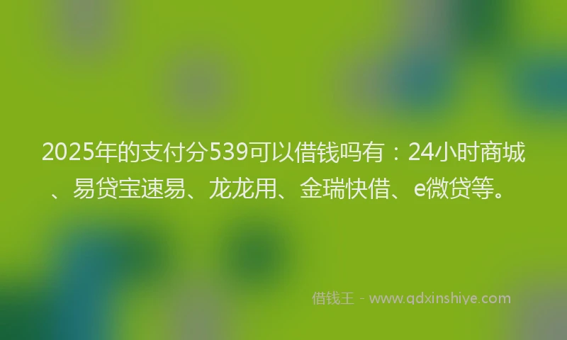 2025年的支付分539可以借钱吗有：24小时商城、易贷宝速易、龙龙用、金瑞快借、e微贷等。