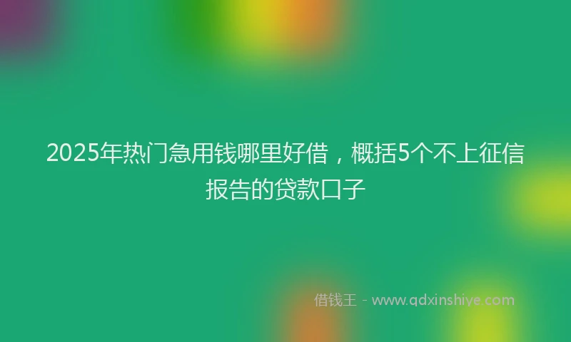 2025年热门急用钱哪里好借，概括5个不上征信报告的贷款口子