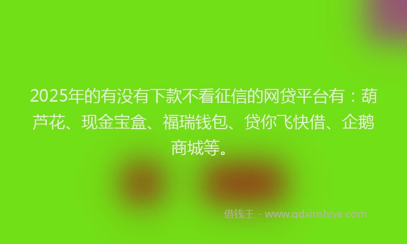 2025年的有没有下款不看征信的网贷平台有：葫芦花、现金宝盒、福瑞钱包、贷你飞快借、企鹅商城等。