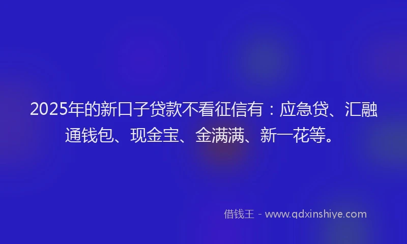 2025年的新口子贷款不看征信有：应急贷、汇融通钱包、现金宝、金满满、新一花等。