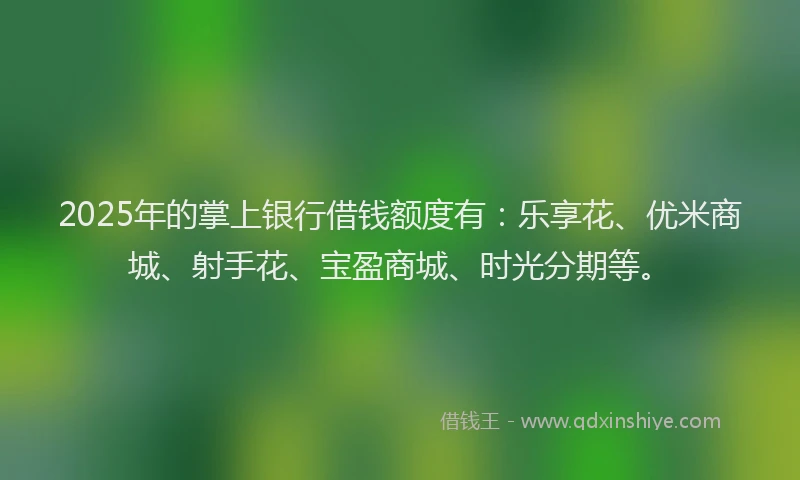 2025年的掌上银行借钱额度有：乐享花、优米商城、射手花、宝盈商城、时光分期等。