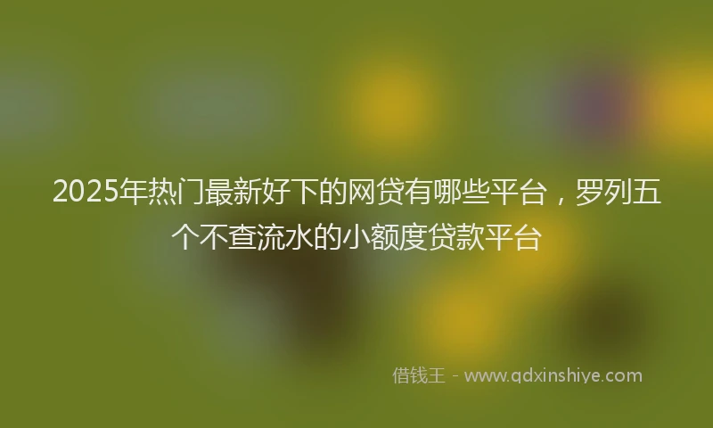 2025年热门最新好下的网贷有哪些平台，罗列五个不查流水的小额度贷款平台
