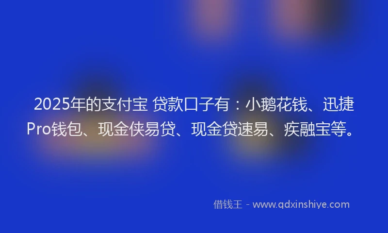 2025年的支付宝 贷款口子有：小鹅花钱、迅捷Pro钱包、现金侠易贷、现金贷速易、疾融宝等。