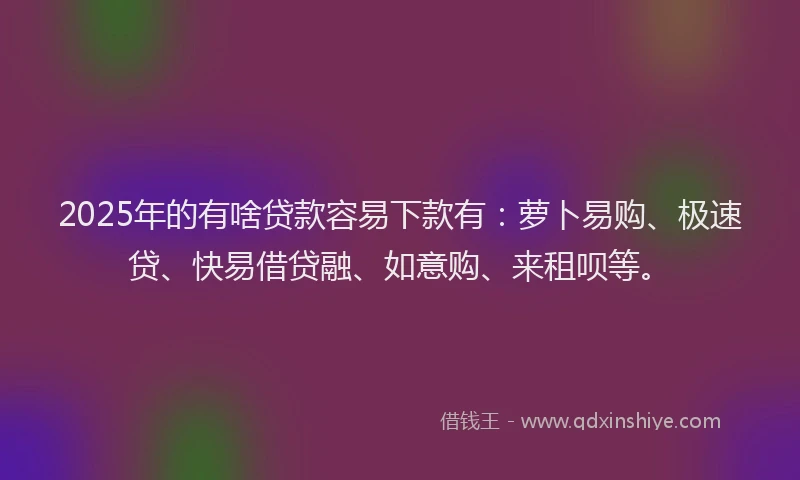 2025年的有啥贷款容易下款有：萝卜易购、极速贷、快易借贷融、如意购、来租呗等。