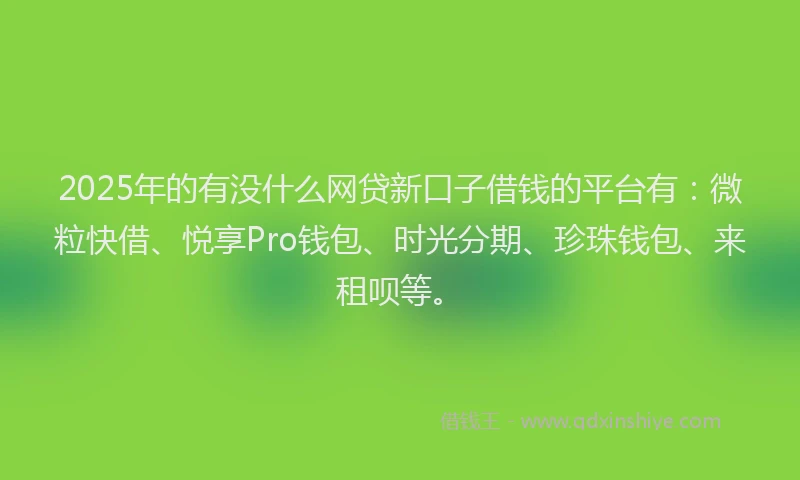 2025年的有没什么网贷新口子借钱的平台有：微粒快借、悦享Pro钱包、时光分期、珍珠钱包、来租呗等。