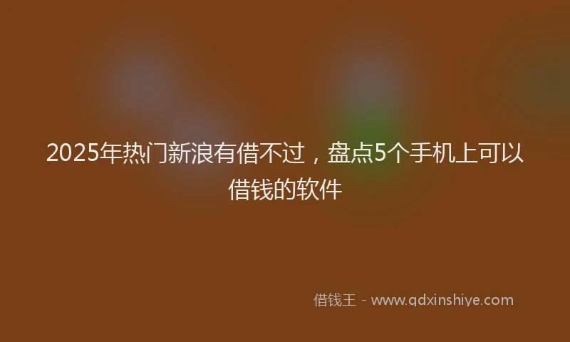 2025年热门新浪有借不过，盘点5个手机上可以借钱的软件