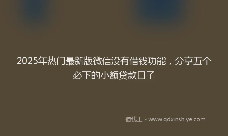 2025年热门最新版微信没有借钱功能，分享五个必下的小额贷款口子